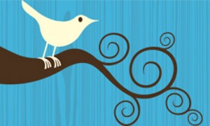 La historia del Logo de Twitter - Novaera | Novaera