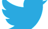 Twitter_bird_logo_2012.svg